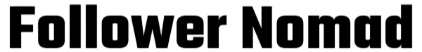 McFlash Logo